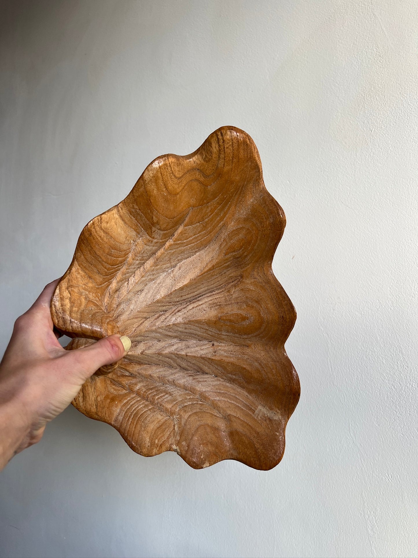 WOODEN SHELL DECORATIVE BOWL
