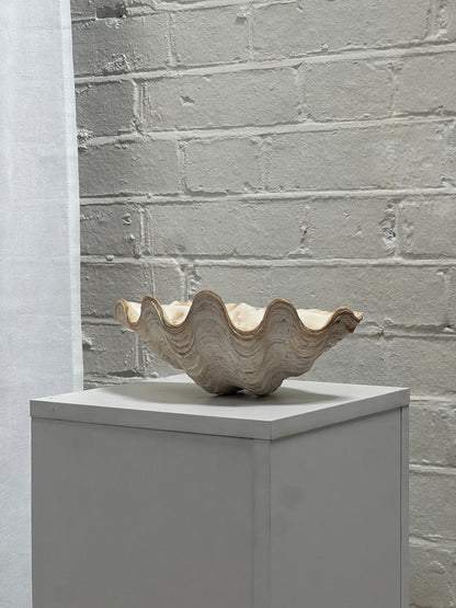 VINTAGE CLAM SHELL