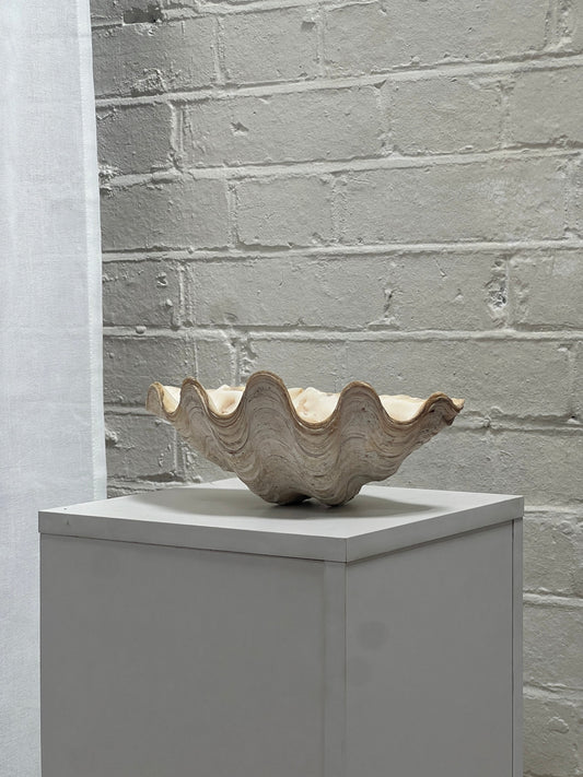 VINTAGE CLAM SHELL