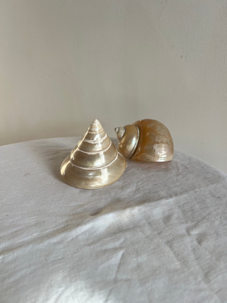 PAIR OF MOTHER OF PEARL TROCA SHELLS