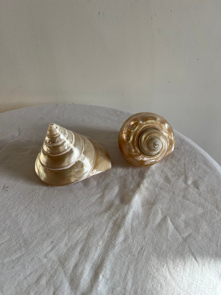 PAIR OF MOTHER OF PEARL TROCA SHELLS