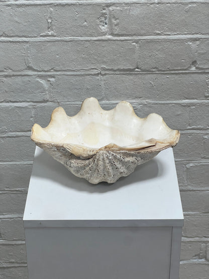 VINTAGE CLAM SHELL