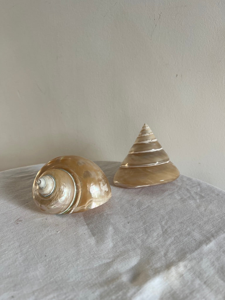 PAIR OF MOTHER OF PEARL TROCA SHELLS