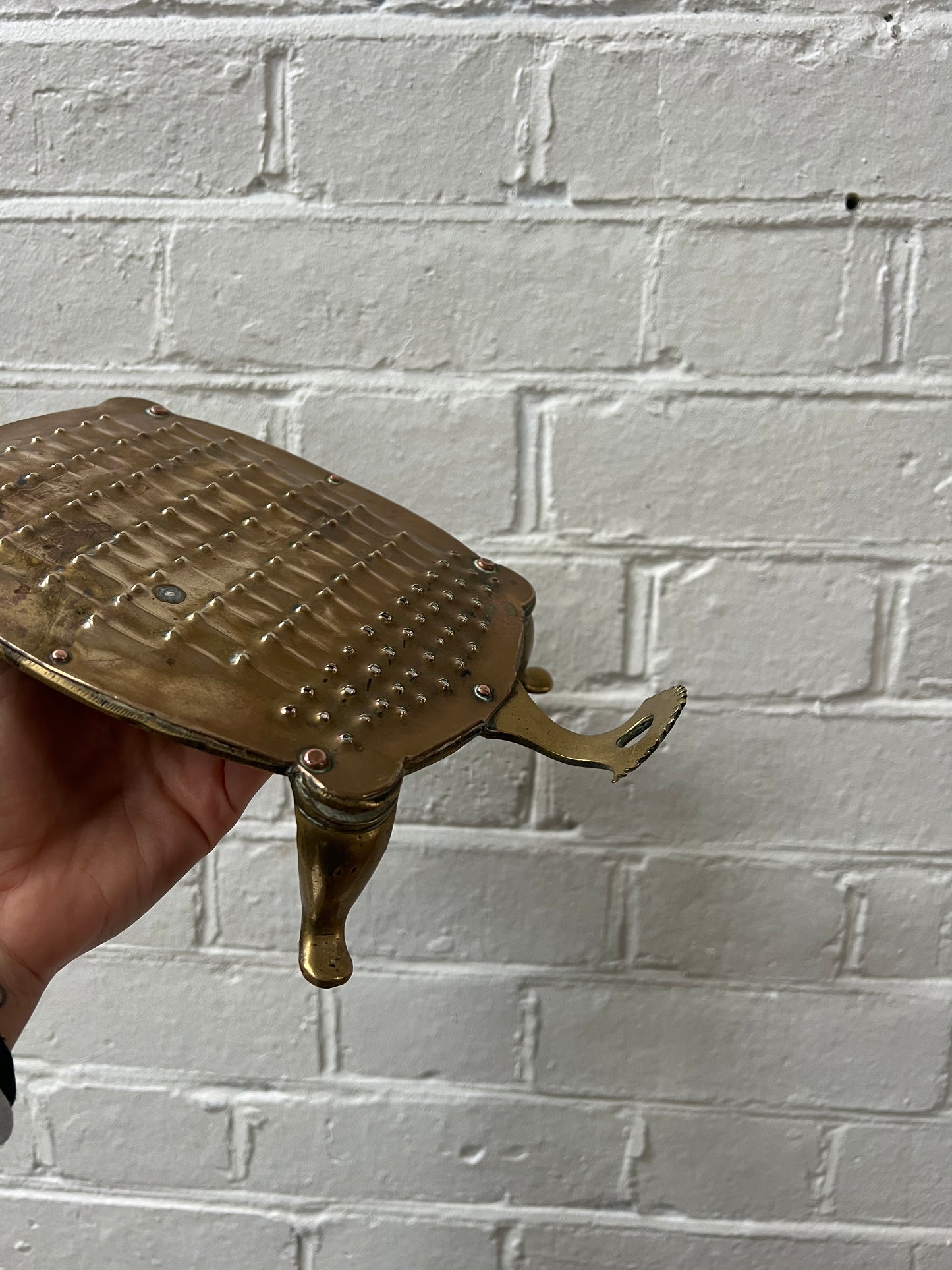 BRASS TORTOISE CHEESE GRATER