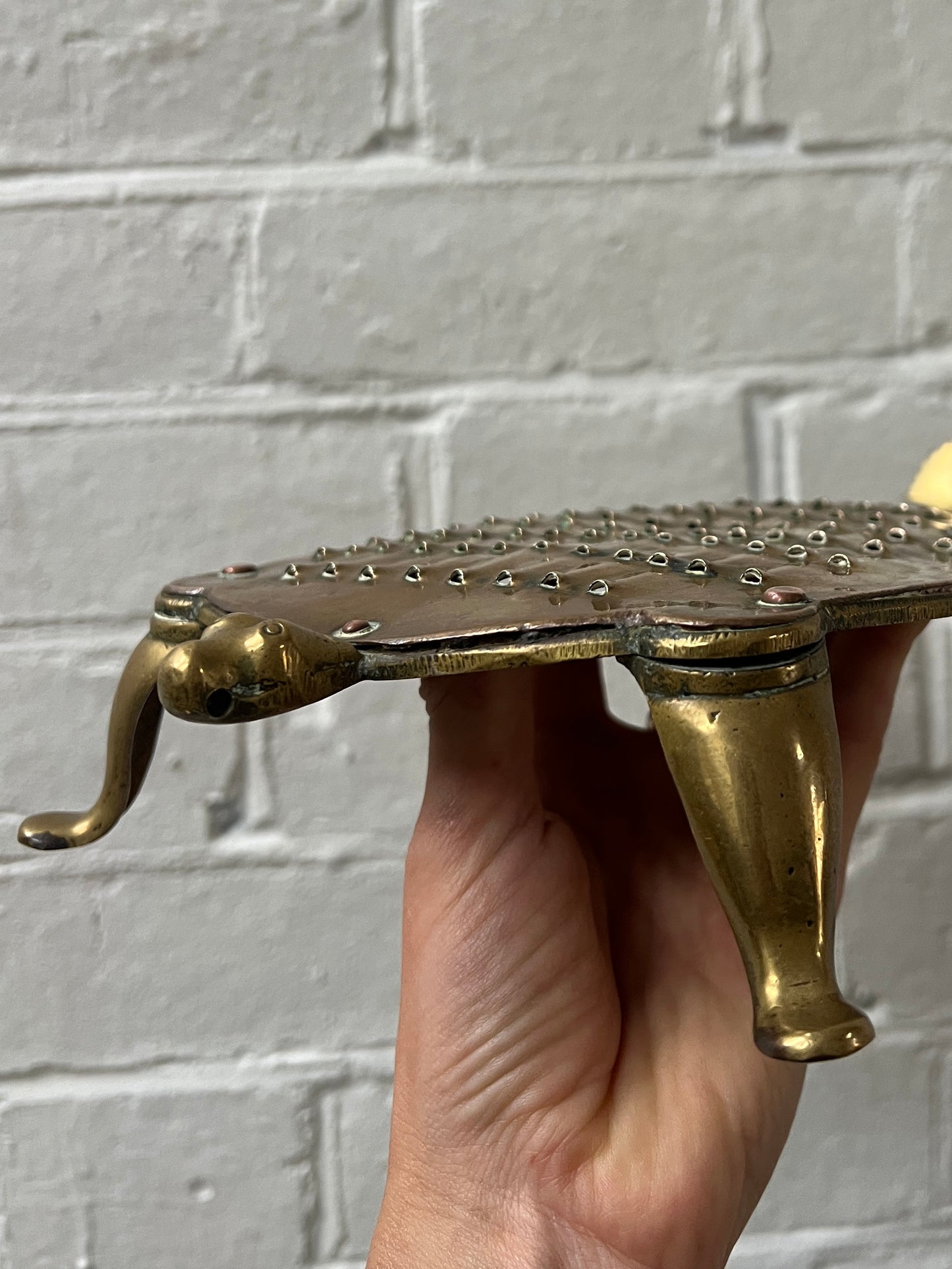BRASS TORTOISE CHEESE GRATER